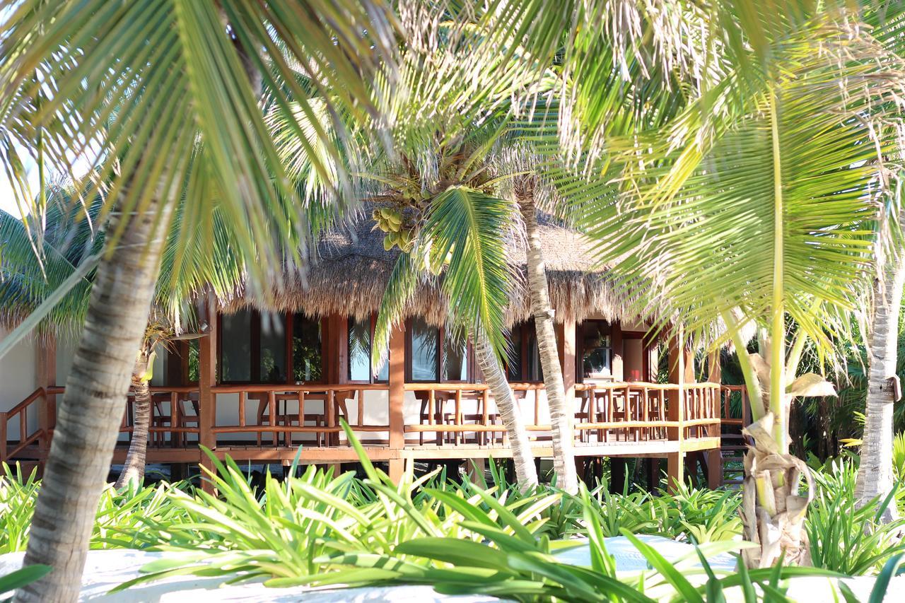 Hotel Casa Chable à Punta Allen Extérieur photo