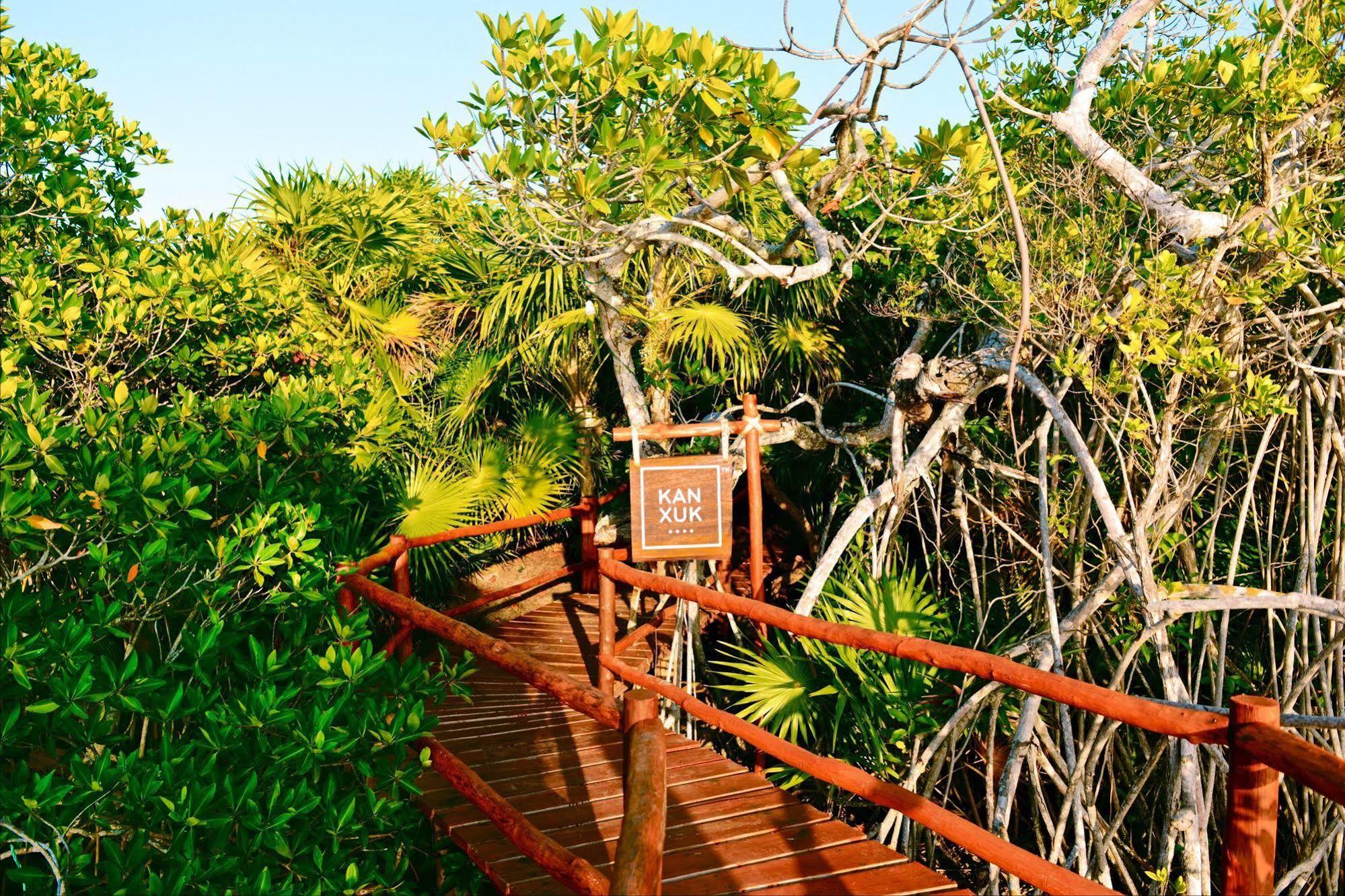 Hotel Casa Chable à Punta Allen Extérieur photo