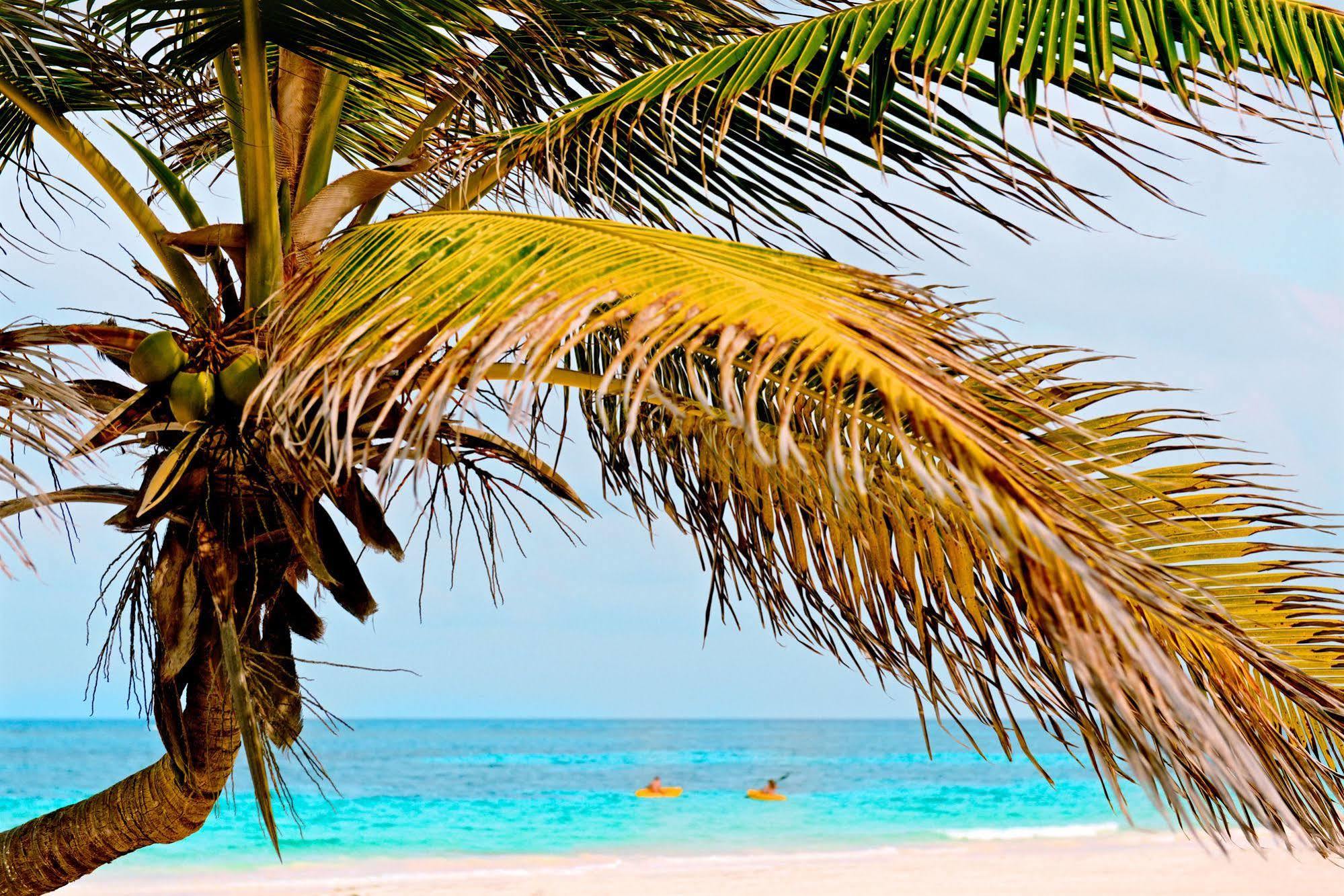 Hotel Casa Chable à Punta Allen Extérieur photo